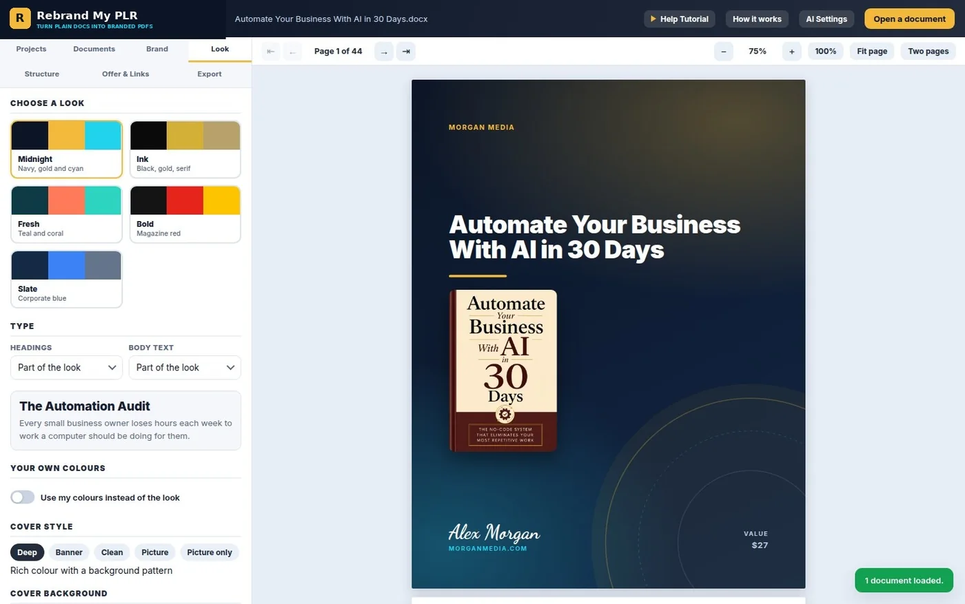 Official Rebrand My PLR interface showing the Look tab, color settings and a branded document preview